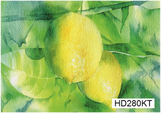 A4 decoupage card Hobby-Decor, HD280KT