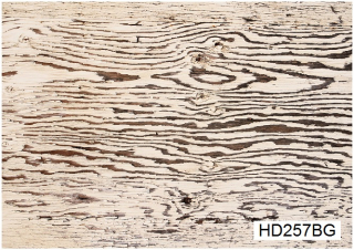 A4 decoupage card Hobby-Decor, HD257BG